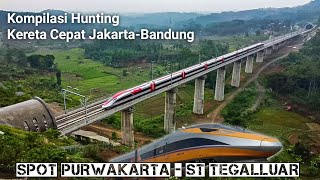 Kompilasi Hunting Kereta Cepat Whoosh Jakarta-Bandung | Indonesia High-Speed Railway by Dani Arisandi 779 views 2 weeks ago 19 minutes