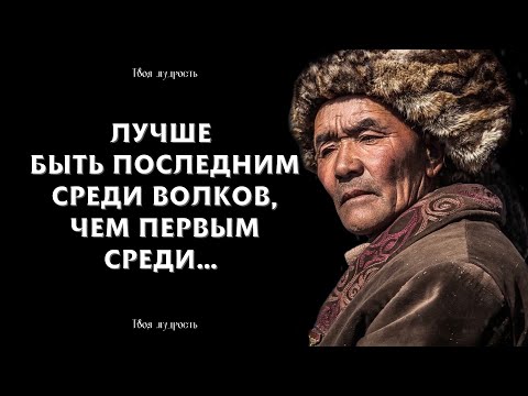 Короткие, Но Невероятно Мудрые Монгольские Пословицы И Поговорки | Цитаты, Афоризмы, Мудрые Мысли