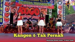 Lagu Fypkangen  Tak Pernah Djandhut Jaranan Cover Rogo Samboyo Putro Ft Dmaxs 
