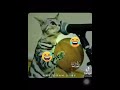 لما تغني القط مقاطع الصغير Shorts لما تغني القط مقاطع الصغير Shorts