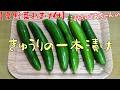 【夏野菜おまけ付】きゅうりの一本漬け『ビールやお酒のおつまみに最適でメッチャ旨い!!』Let's eat season's food
