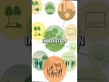 Unique micro-grants startups overlook