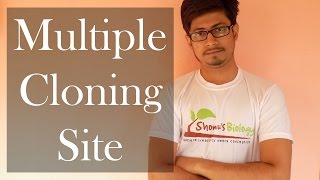 Multiple cloning site (MCS)