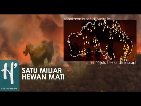 Video: Di Australia, Lebih Dari Satu Miliar Hewan Telah Mati Dalam Kebakaran Hutan - Pandangan Alternatif