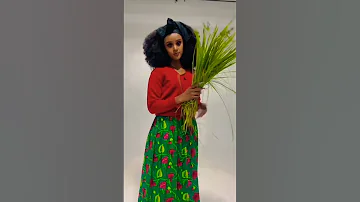 New Oromo Music Oromo TikTok Video 
