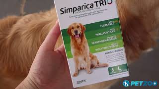 How to feed your Dog the Simparica TRIO Flea and Tick Treatment