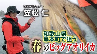 和歌山県串本町で狙う春のビッグアオリイカ