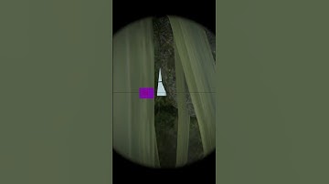 NEW Wallbang on Ancient in CS2!  #csgo #cs2 #gaming #trending  #counterstrike #shorts