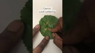 Famous Demo: Leaf Lettering | Best Nib: Blue Pumpkin & Best Ink: Daler Rowney Acrylic Wealth