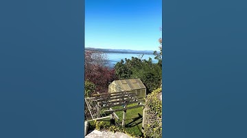 Safe H2O Water Tank Cleaning