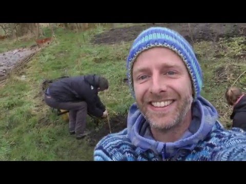 De Hobbitstee videoblog #1 Moestuin Wilgentakken