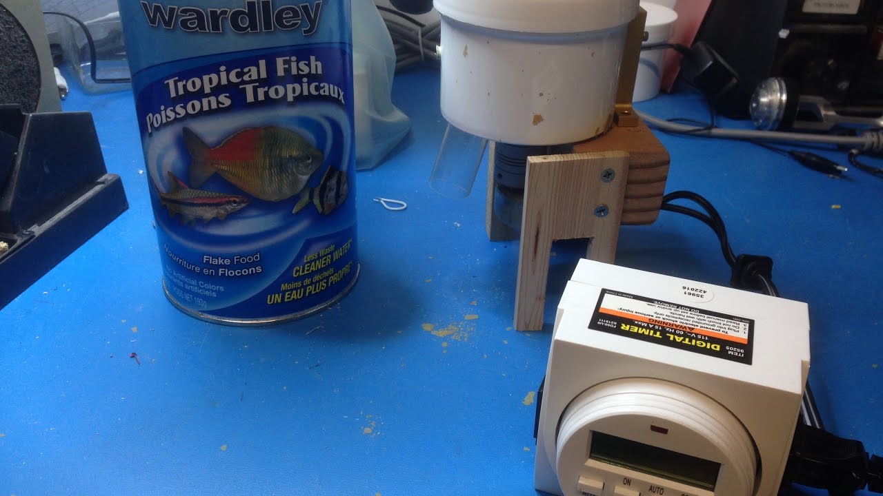 DIY automatic fish feeder version 2 more compact and for flakes - YouTube