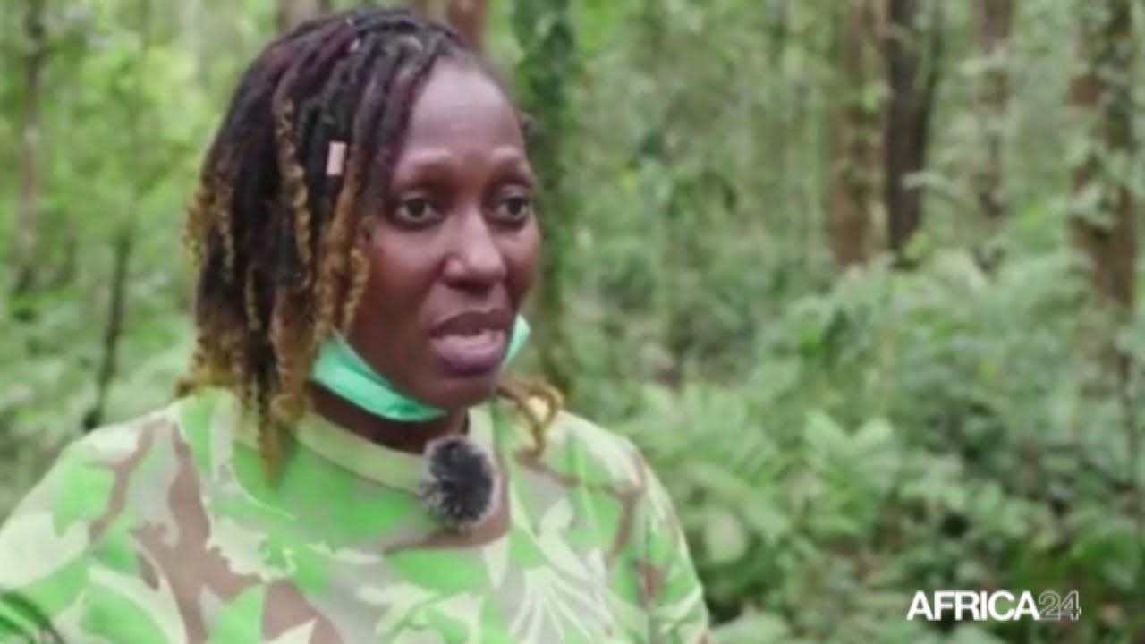 Gabon : les mangroves, un véritable puits de carbone bleu menacé