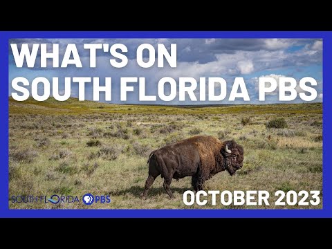 What's on South