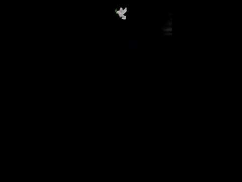 واقع وسط العقارب