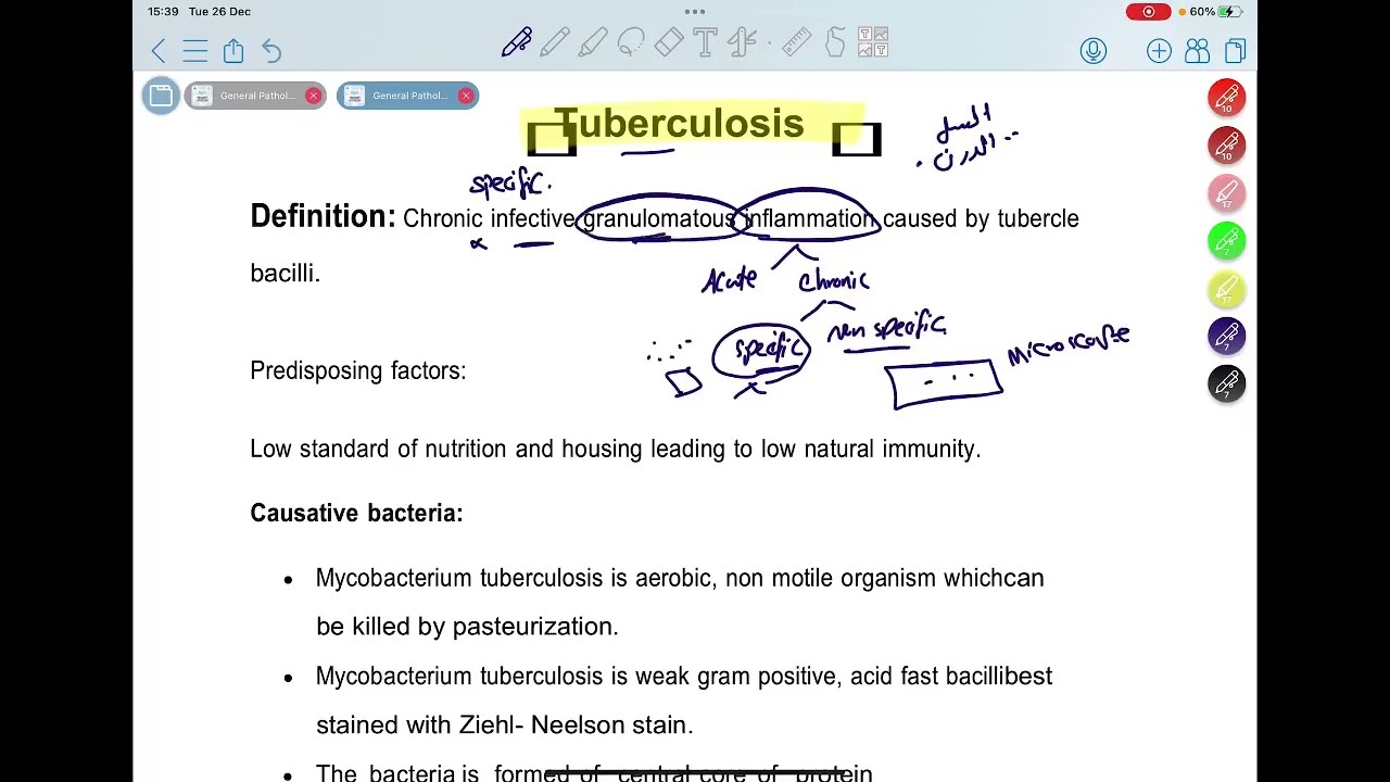 Tuberculosis | Pathology