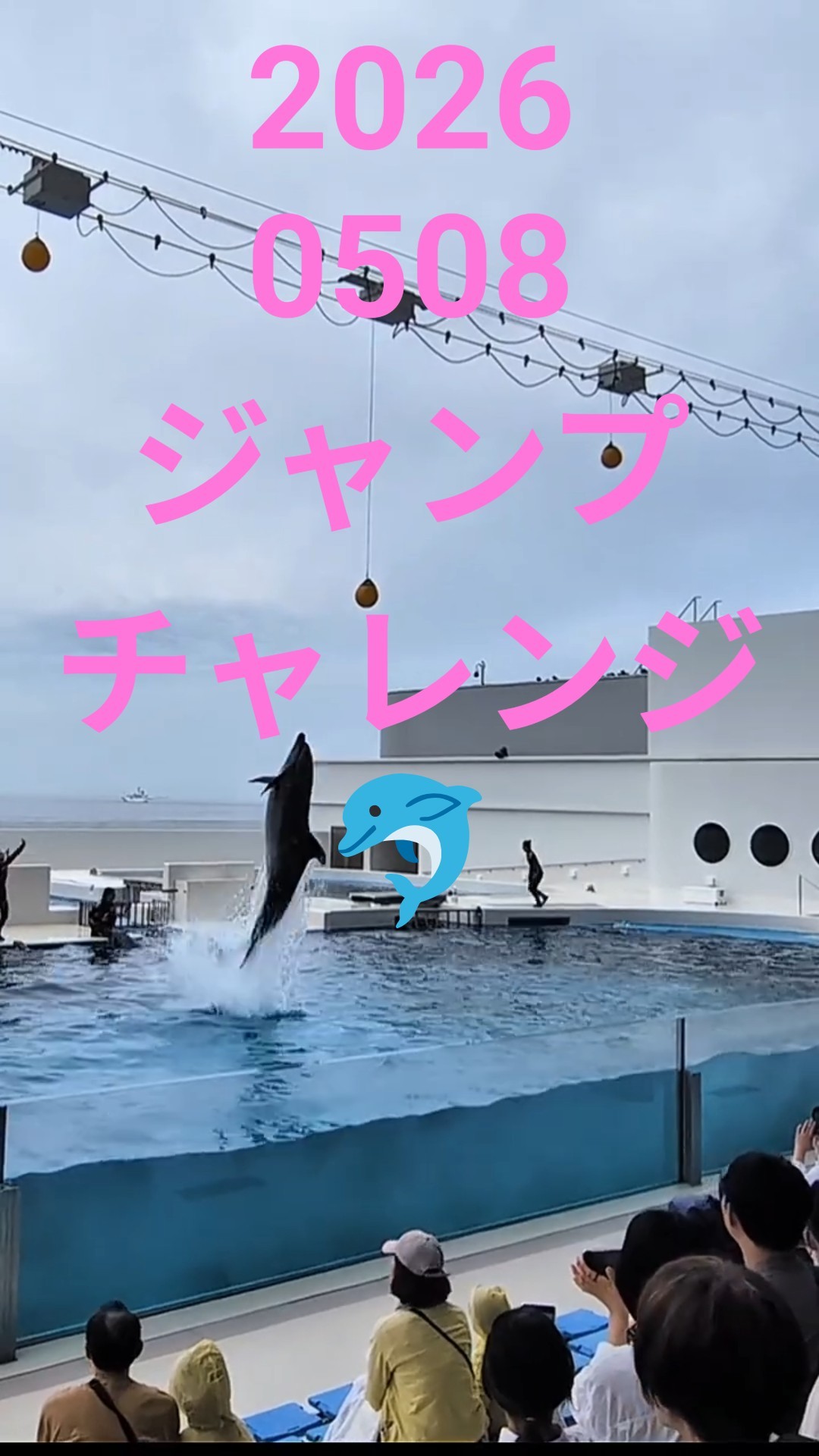 20260508🕚️イルカジャンプチャレンジ💪 - YouTube