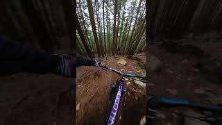 Roots and Steeps