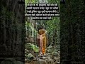 #motivation #buddhaquotes #gautambudhastory #lordbuddha #viral #buddhamotivation #buddhateachi