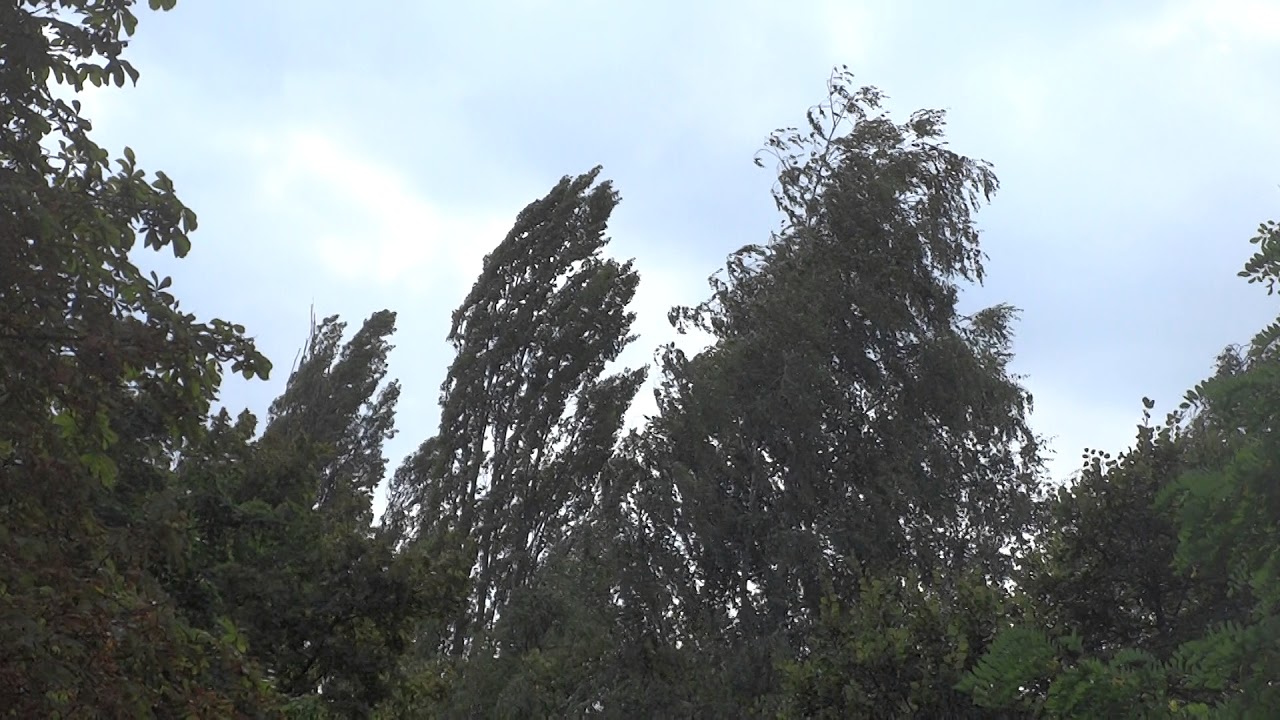 Шум ветра в Харькове_видео ГородХ - YouTube