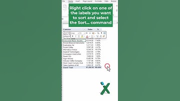 🇺🇸 EXCEL TIPS: 🟢1️⃣2️⃣3️⃣ Pivot tables: sorting values #shorts
