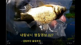 내림낚시 챔질영상 027