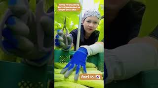 Harvest Are Getting Lesser