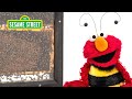 Sesame Street: Elmo and Kids Meet a Beekeeper featuring @hihokids