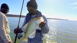 SHOCKING LOCATION where I found these  Monster crappie!!!
