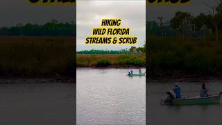 Download Lagu Hernando Beach, Florida | #travel #wildflorida #florida #hiking #30daysofshorts MP3 Download Lagu Hernando Beach, Florida | #travel #wildflorida #florida #hiking #30daysofshorts MP3