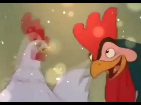 موال دجاجه انت يا الحبيبه واناديك غناء علي الاسمر