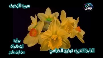 سورة الزخرف برواية ابن ذكوان عن ابن عامر للشيخ المقرئ توفيق الخزاعي حفظه الله تعالى