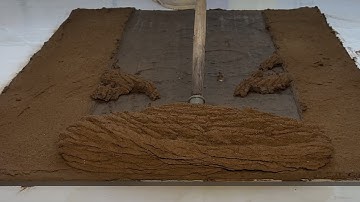 Shocking ASMR carpet cleaning - You won