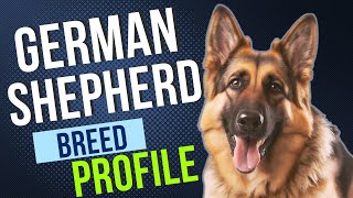 German Shepherd - Breed Everything You Need to Know. A Complete Guide for Dog Owners.