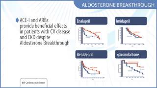 Dual RAAS blockade in canine heart failure (4/8) - The aldosterone breakthrough