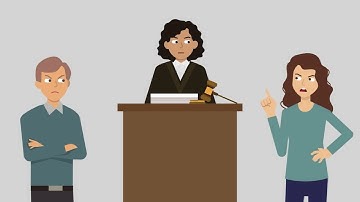 In re the Marriage of Witten Case Brief Summary | Law Case Explained