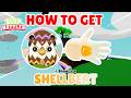 HOW TO GET SHELLBERT GLOVE | Roblox Slap Battles