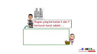 KELAS 11 BIOLOGI   Jaringan Hewan   Latihan Soal 3