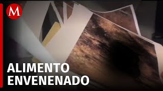 Va en aumento la aparición de perros muertos en Club Campestre de Durango