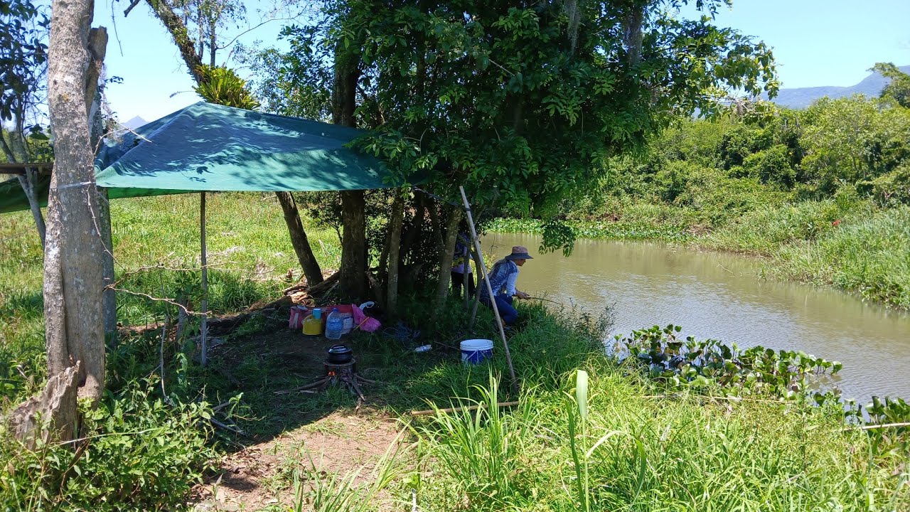 Pescaria caipira com vara de bambu Pescamos e fritamos na beira do rio 