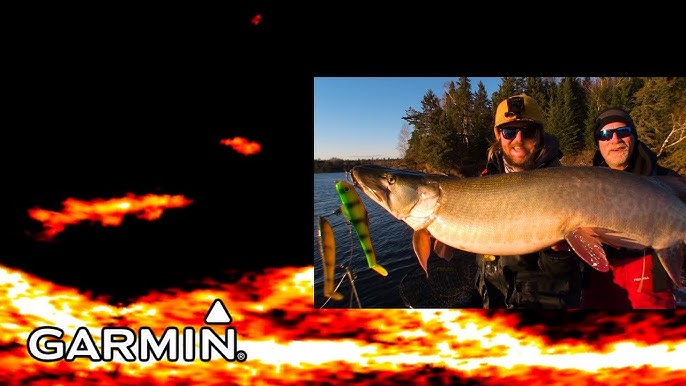 Garmin Panoptix Livescope - Red Lake Early Ice Walleyes 