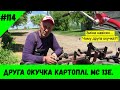 Друга окучка картоплі. МС 13Е.