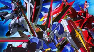 HG 機動戦士ガンダムSEED DESTINY 第81独立機動群ファントムペイン HG