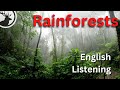 How to talk about rainforests in english  esl listening lesson  learnenglish speakenglish 