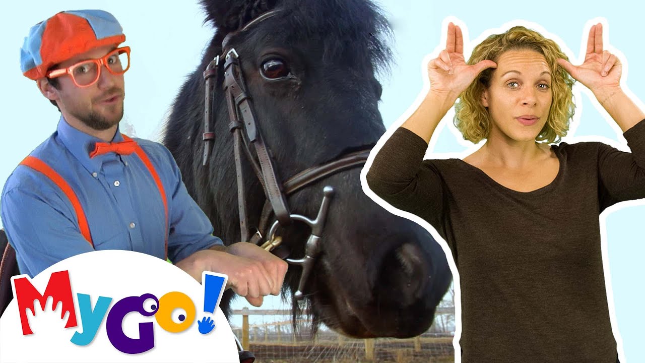 Horse Song MyGo Sign Language For Kids Blippi Songs ASL YouTube horse-song-mygo-sign-language-for-kids-blippi-songs-asl-youtube