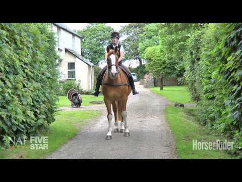 Video: Anglisht Hack Horse Horse Race Hypoallergenic, Health And Life Span