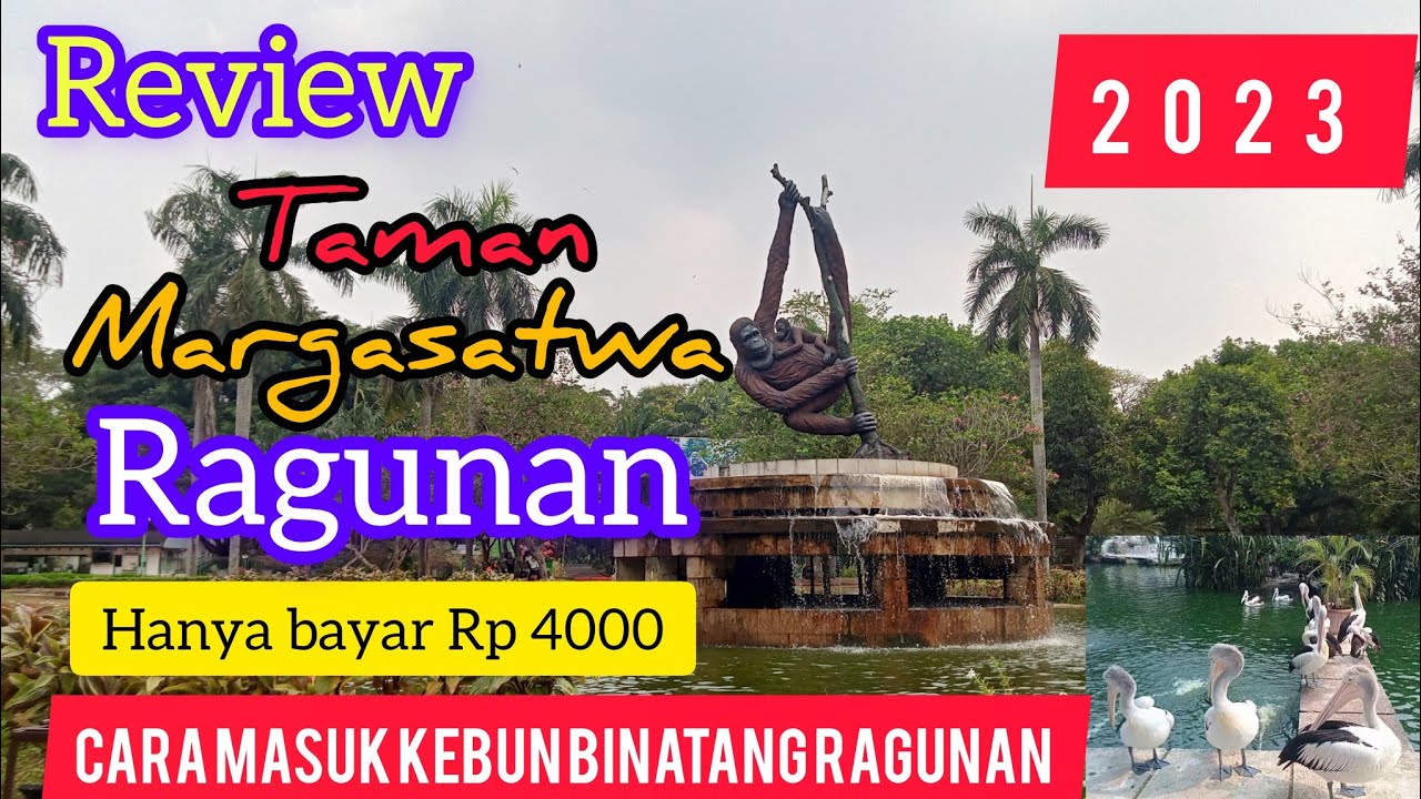 Wisata‼️Kebun Binatang Ragunan dan Cara masuk Taman margasatwa ragunan ...