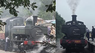 Trains at Dawlish/Dawlish warren/Teignmouth and south devon railway