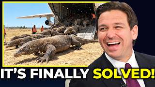 Florida Released Thousands of Komodo Dragons to Kill Pythons — And the Result Was Unexpected
