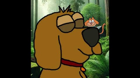 Space but no room riddle